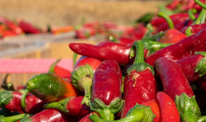Een stapel rode paprika's uit Hongarije